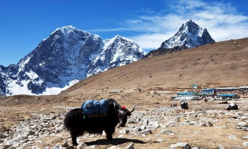 Premium Everest Base Camp Trek & Scenic Mountain Flight